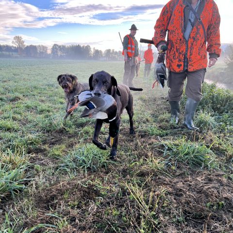 Wie man entspannter durch den Alltag kommt Wie man entspannter durch den Alltag kommt
