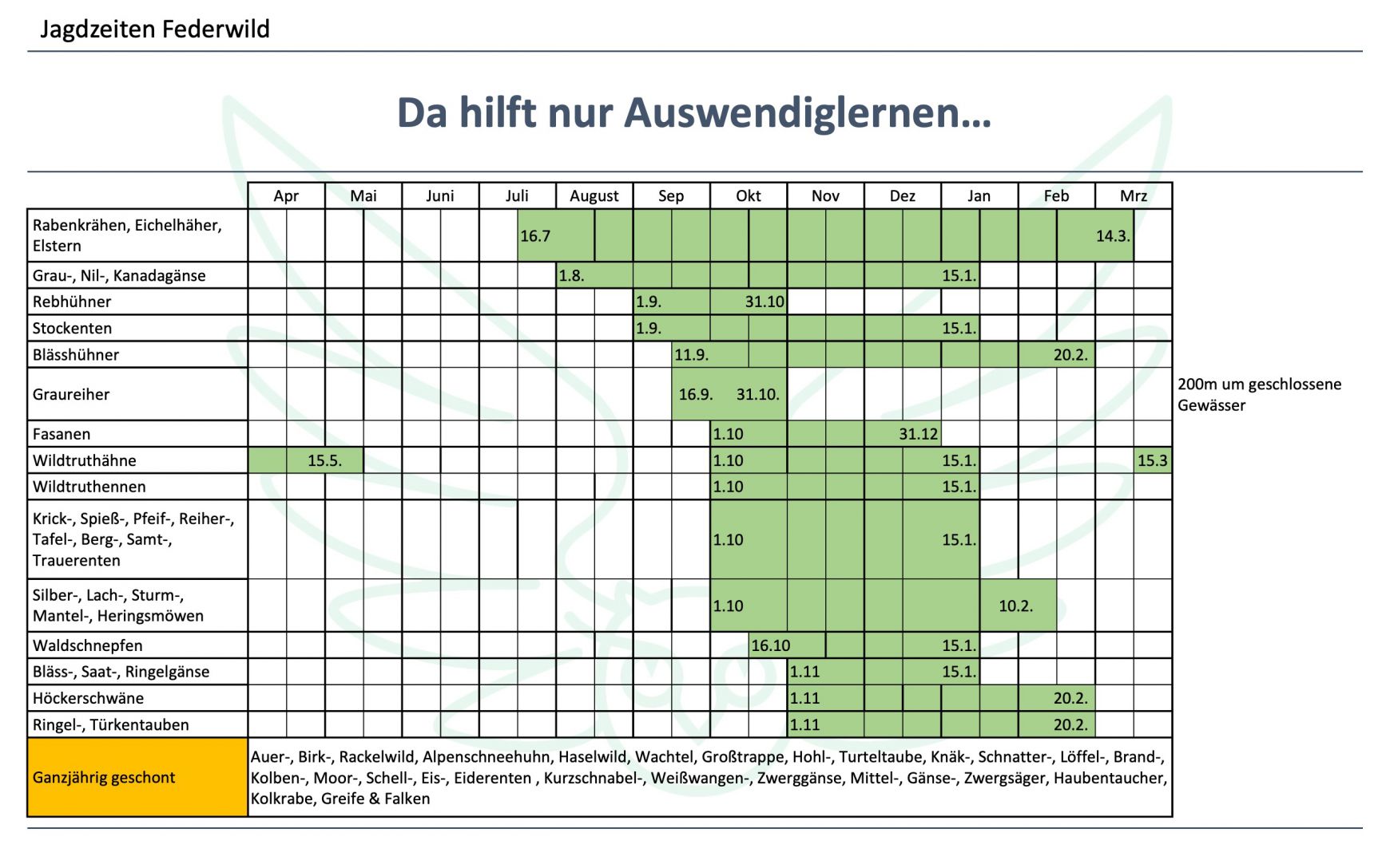 Jagd und Schonzeiten 2024 in Bayern Jagdbildungszentrum Bayern